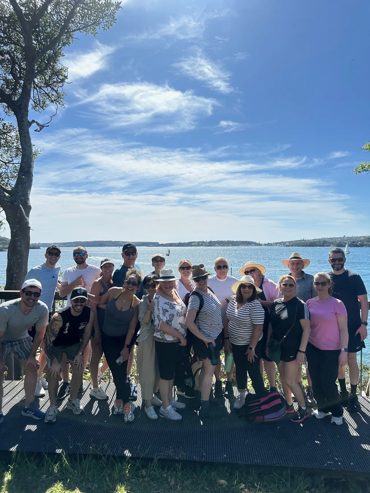 Members at the Bradleys Head lookout on a sunny day